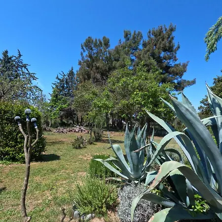 Pond And Pines, By Nice House By The Sea! Epanomi Exterior photo
