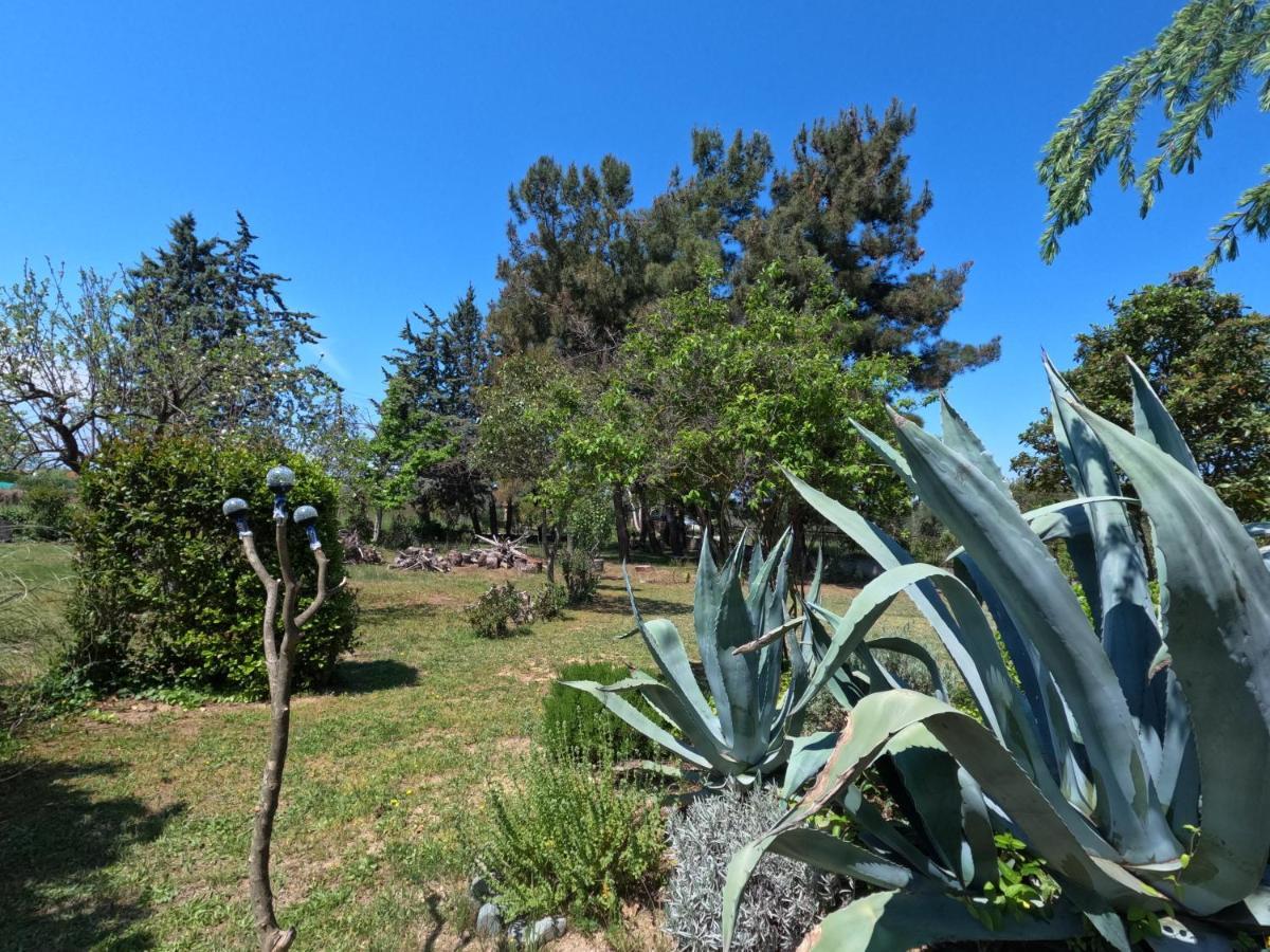 Pond And Pines, By House By The Sea! Apartment