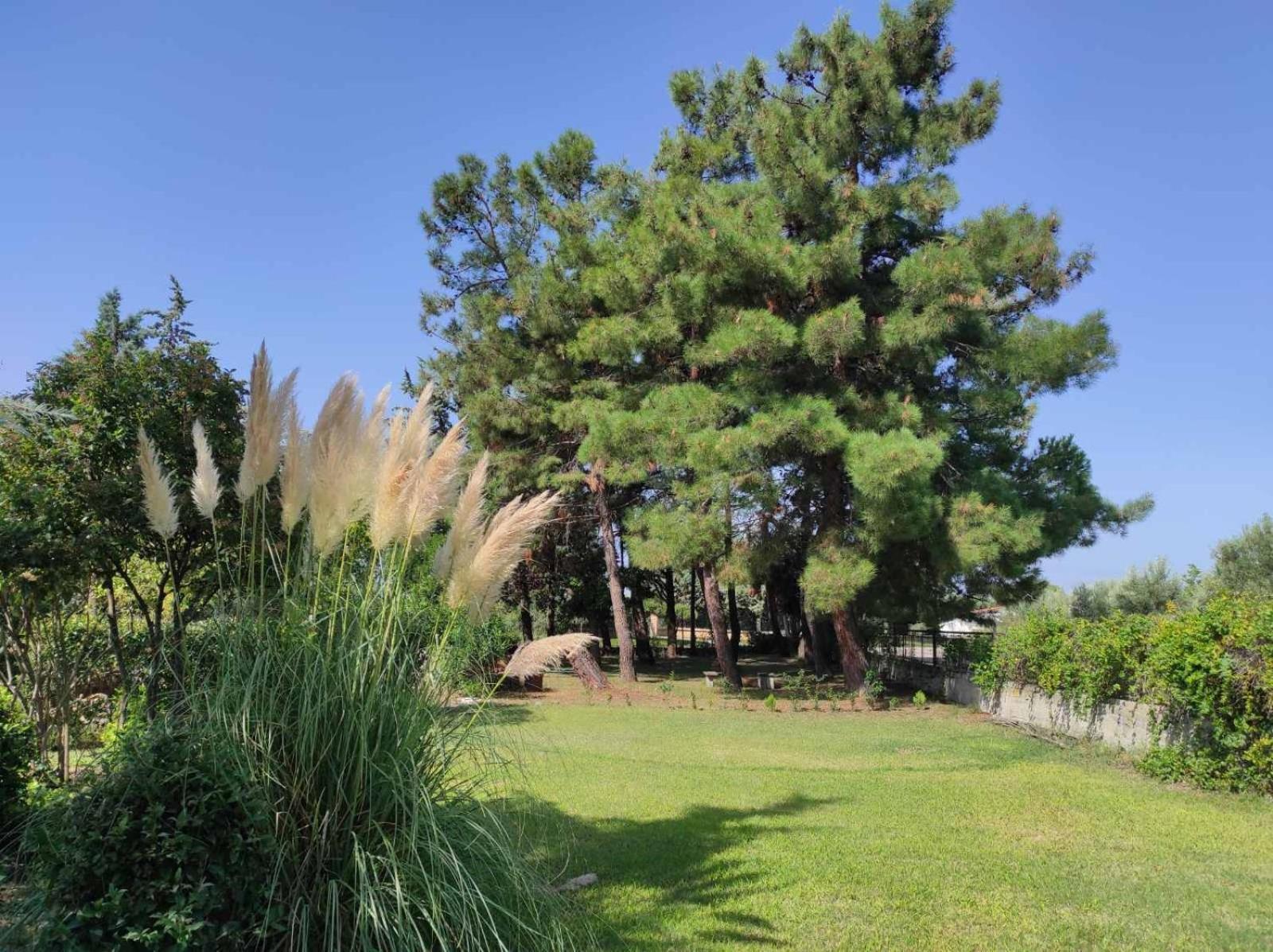 Apartment Pond And Pines, By House By The Sea! *